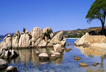 中国传媒大学视听艺术研究中心发布报告